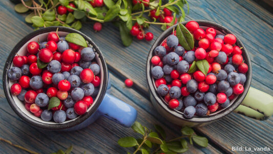 Blasenfreundliches Obst im Sommer - Blaubeeren und Cranberries