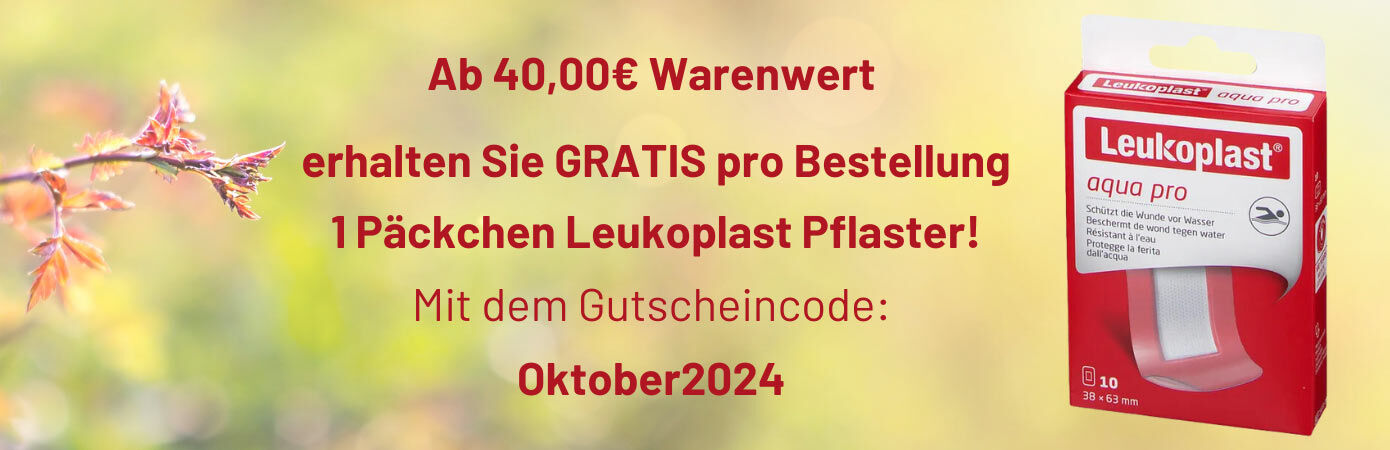 Banner Gratisaktion Herbst 2024 Desktop