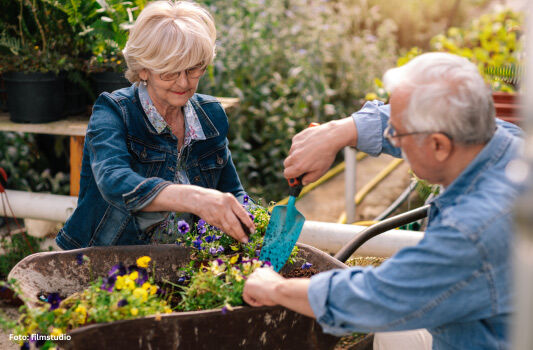 Gartenarbeit im Herbst ohne Handschuhe - Verletzungsrisiko