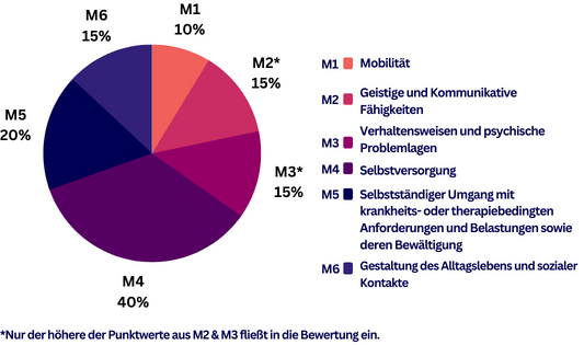 6 Module Medizinischer Dienst 