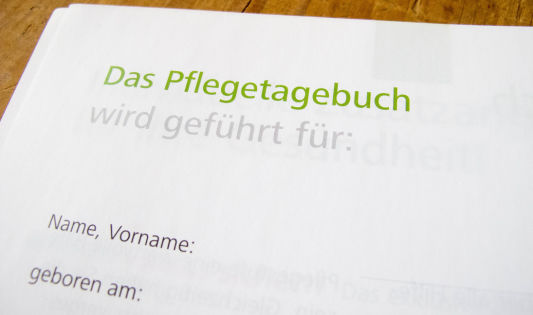 Das Pflegetagebuch - Basiseinträge 